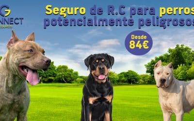 Seguro de perros peligrosos